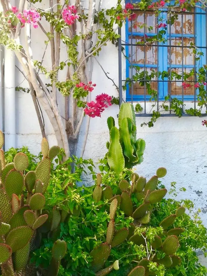 Apartment Mediterranean Sweet Home Mojacar Spain